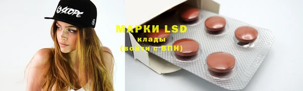 дмт Богданович