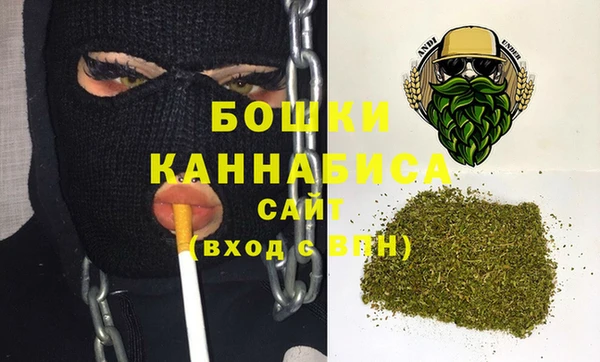 дмт Богданович