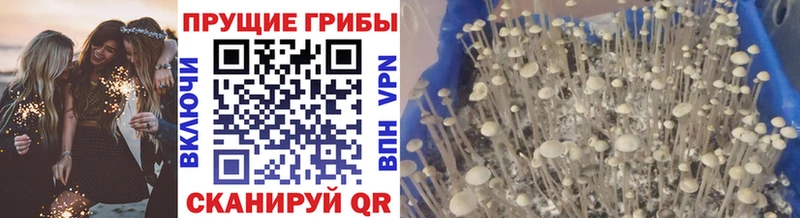 как найти закладки Каневская Галлюциногенные грибы прущие грибы